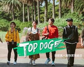 爱骑姬《TOP DOG》免费在线观看