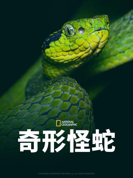 狼友社区《奇形怪蛇》免费在线观看